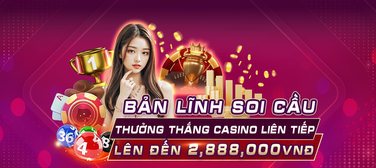 xin88