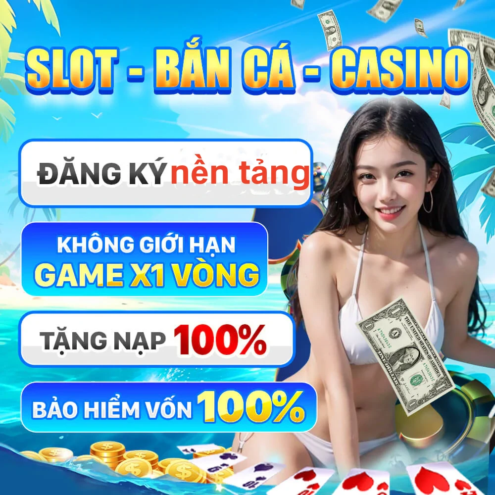 xin88