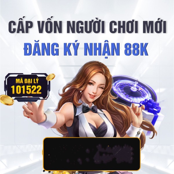 xin88