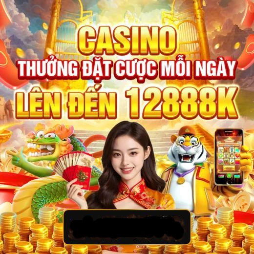xin88