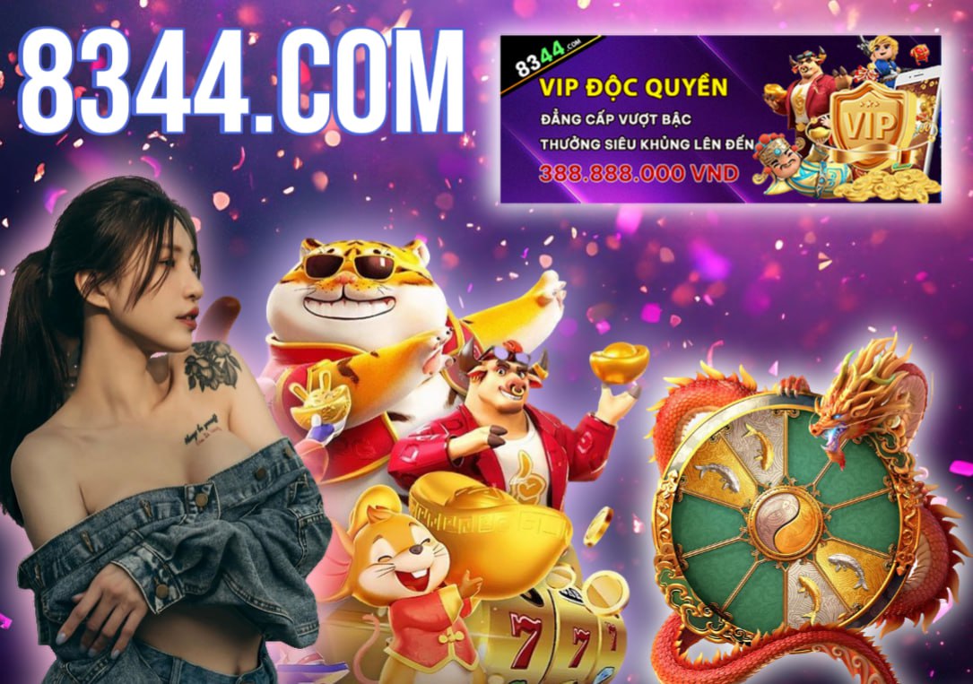 xin88