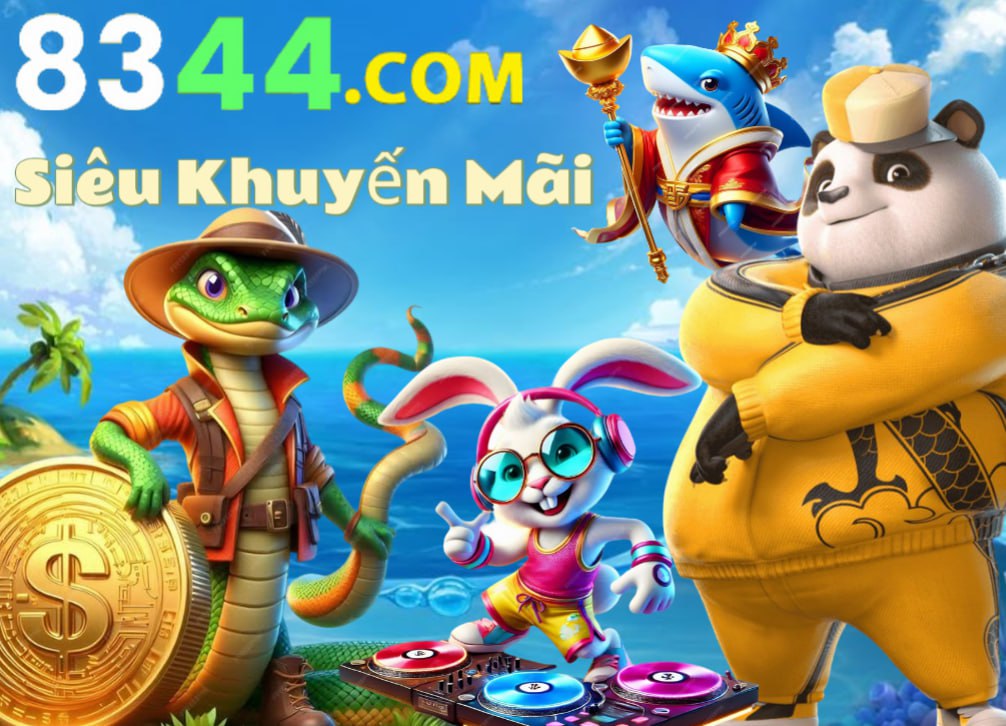 xin88