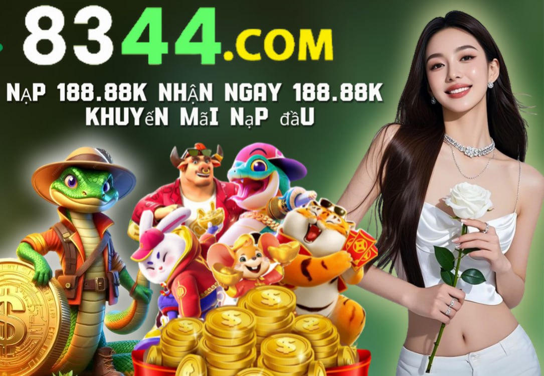 xin88