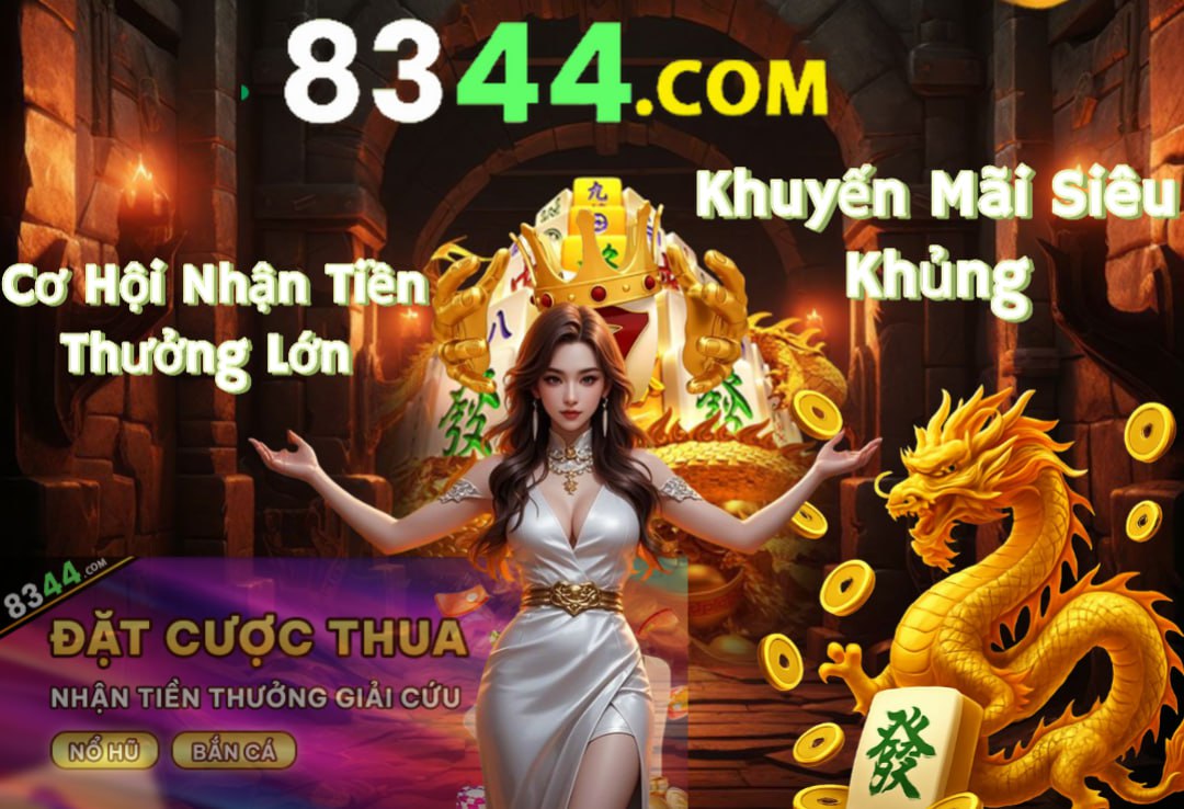xin88