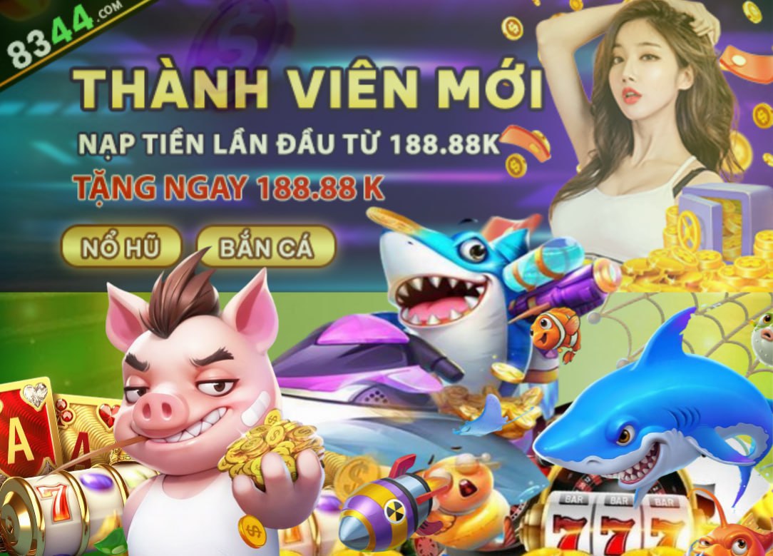 xin88