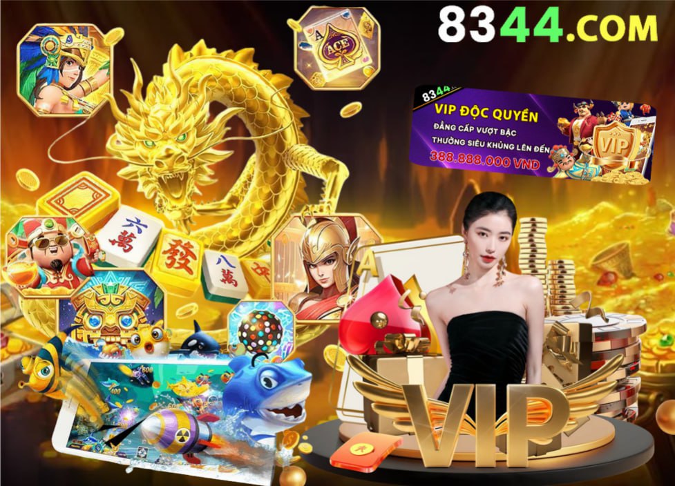 xin88