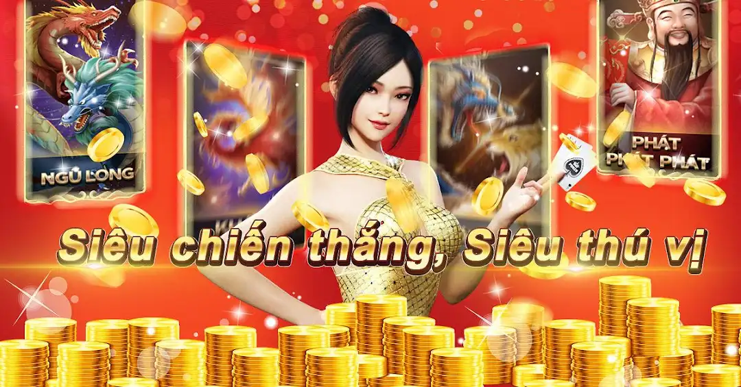 xin88